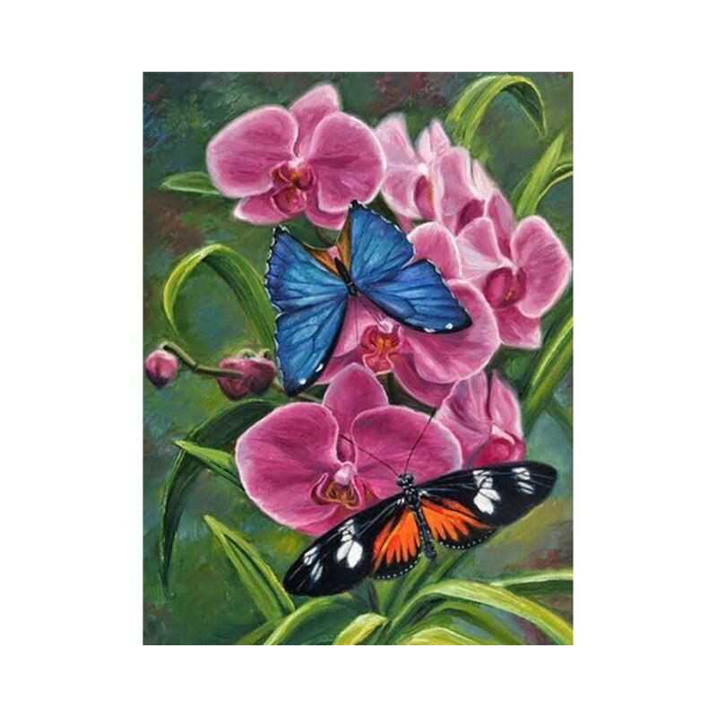 Vlinders-bloemen en vlinder 3D kleur O- Vanaf 16,90 €
