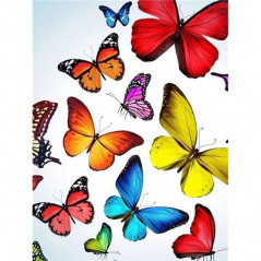 Vlinders-bloemen en vlinder kleur 3D R- Vanaf 16,90 €