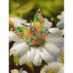 Vlinders-bloemen en 3D-kleur vlinder X- Vanaf 16,90 €